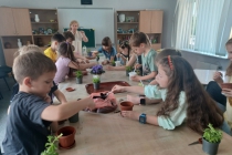 img-18